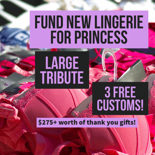 Fund Lingerie for Princess L