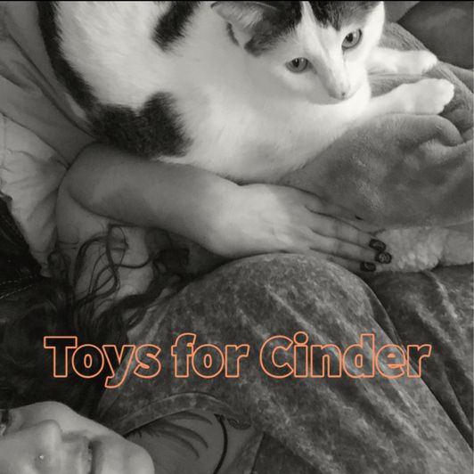 Toys for Cinder