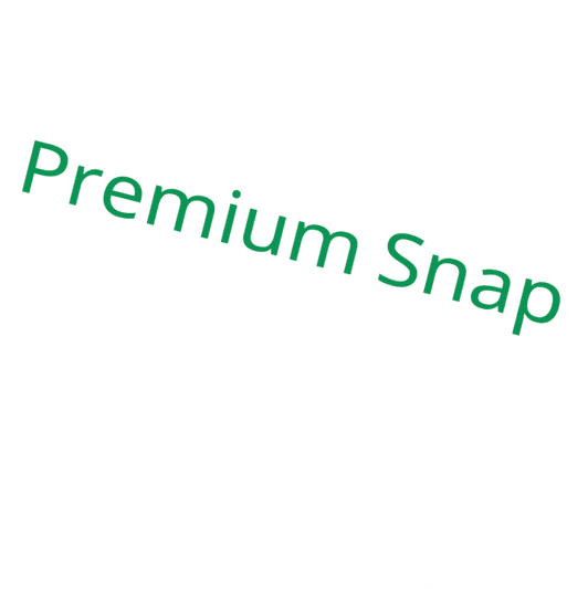 Our Premium Snapchat For Life