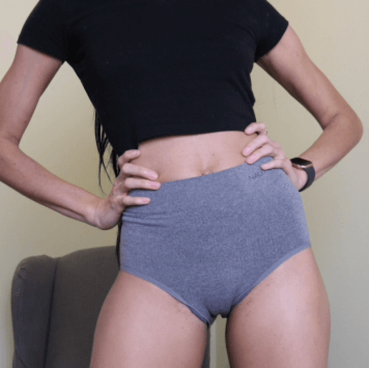 Grey Fullback Panties