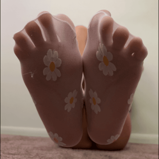 White Sheer Daisy Flower Socks