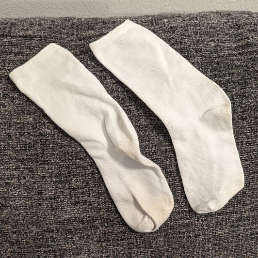 White Cotton Crew Socks