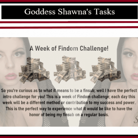A Week Of Findom Challenge