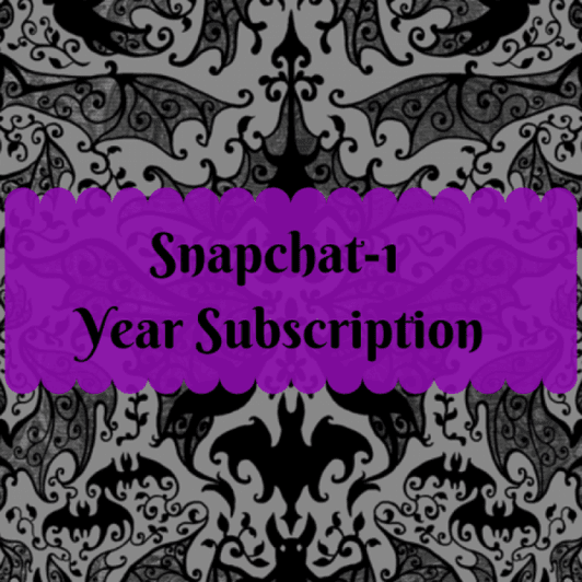 1 Year Snapchat Subscription