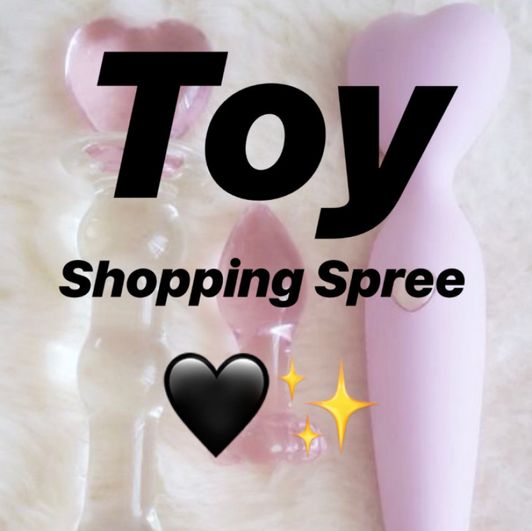 Toy Shopping Spree!