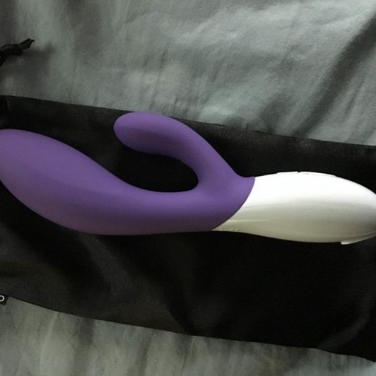 Lelo toy with charger