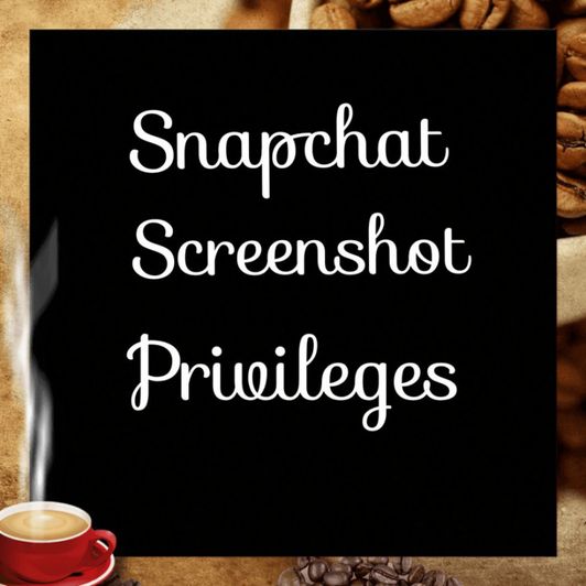 Snapchat Screenshot Privileges
