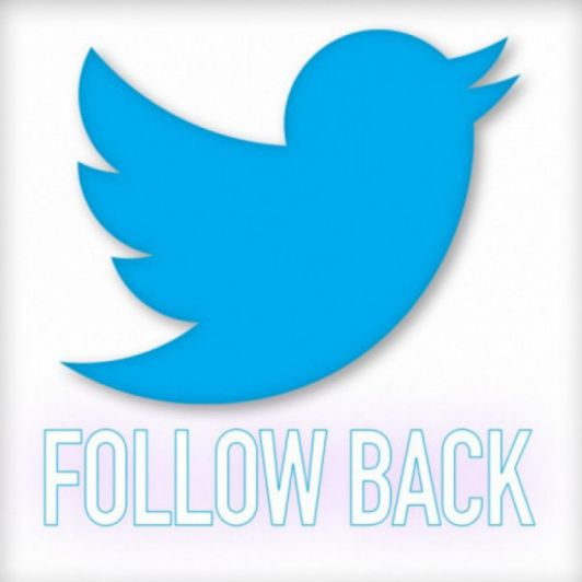 Twitter follow back!