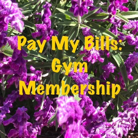 Pay My Bills: Gym Membership for 1 month