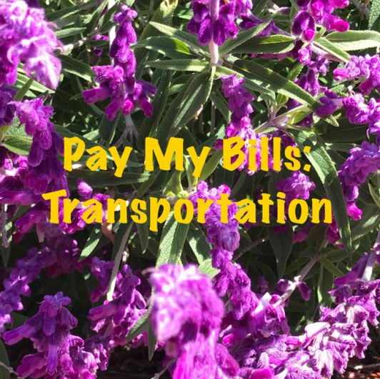 Pay My Bills: Transportation for 1 week