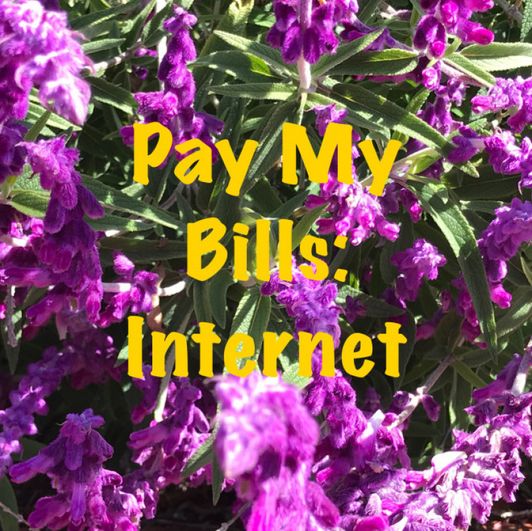 Pay My Bills: Internet for 1 month