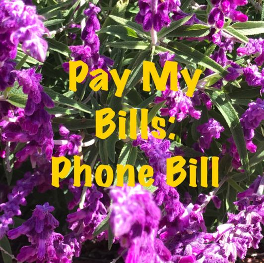 Pay My Bills: Phone Bill for 1 month