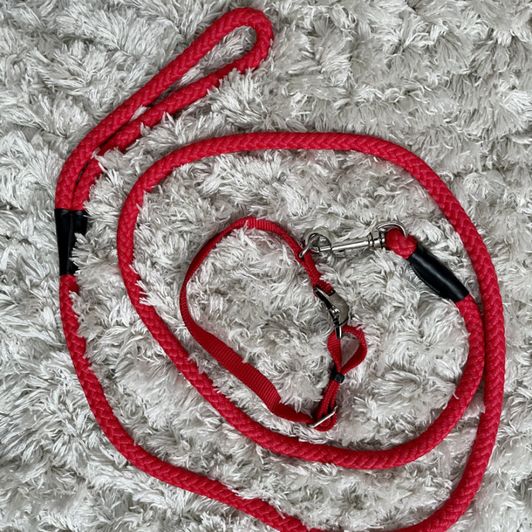 Red Collar with Leash