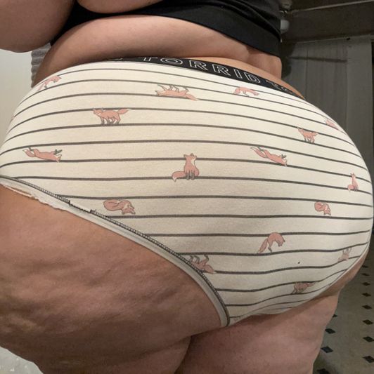Stripes and Fox Full back panty