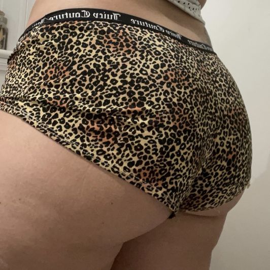 Leopard cheeky panties