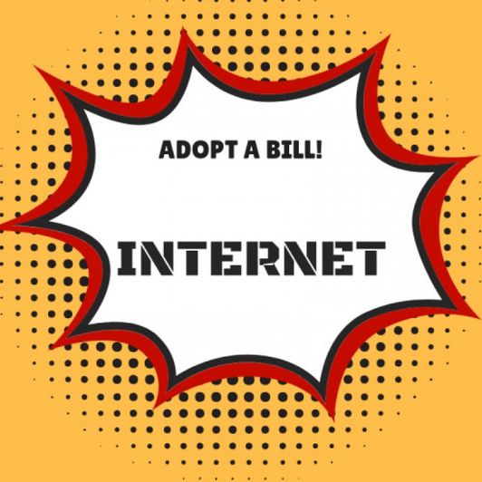 Adopt A Bill: Internet!