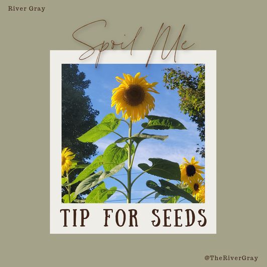 Spoil Me Tip For Seeds