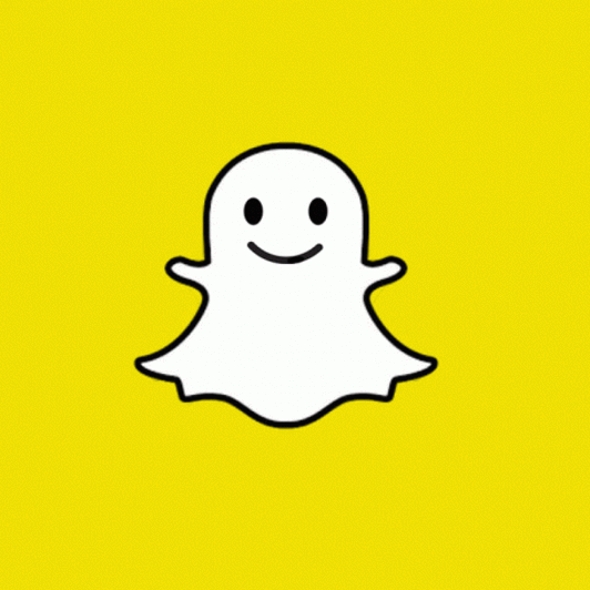 Premium Snapchat Details Valid For Life