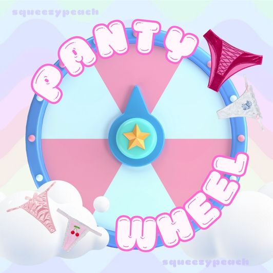 NEW! panty wheel
