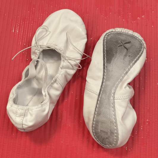Squirted On Ballet Flats
