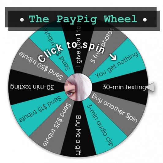 Spin the paypig Wheel!