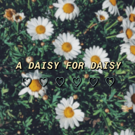 A daisy for Daisy