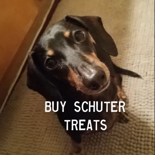 Buy Schuter Treats