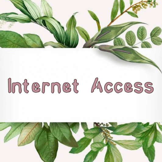 Adopt A Bill: Internet Access