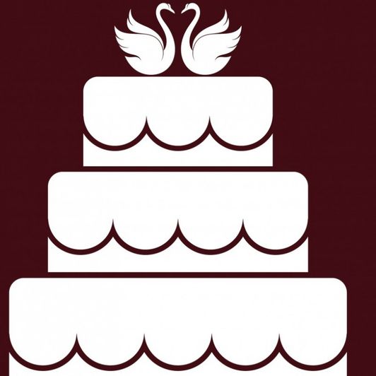 Premium Snapchat Wedding Cake Package