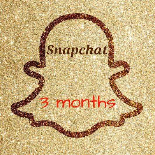 Snapchat 3 months access