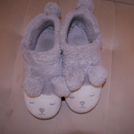 Worn House Slippers