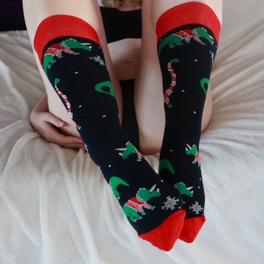Worn Dinosaur Holiday Socks!