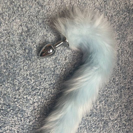 Blue anal tail and bonus vid with it