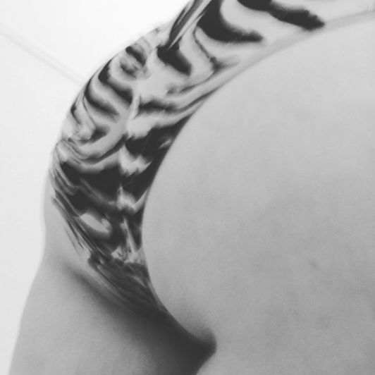 Zebra panties