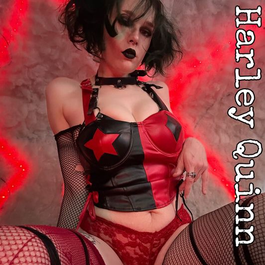 Harley Quinn Photo Album