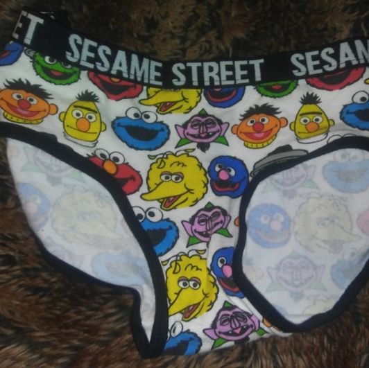 Sesame Street Panties