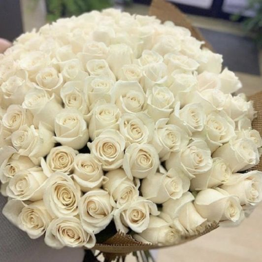 Gift me: White roses
