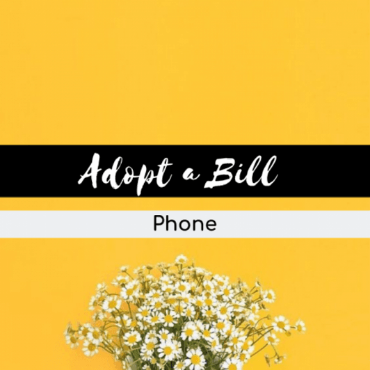 Adopt a Bill: PHONE
