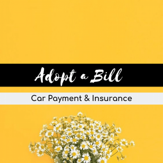 Adopt a Bill: CAR