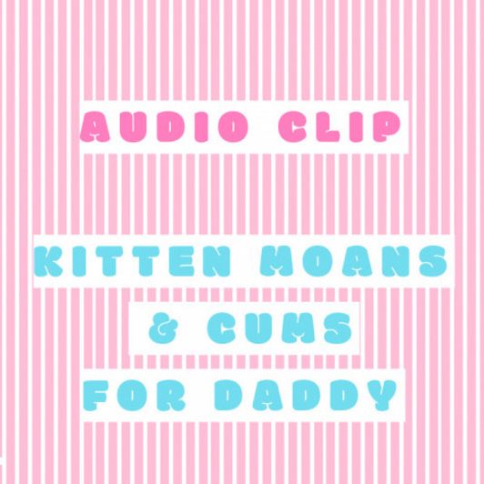 Audio: Kitten Moans For Daddy