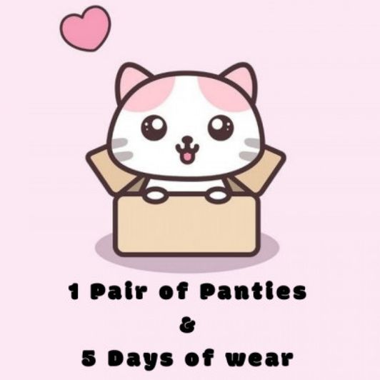 Pkg: Panty: 5 days wear