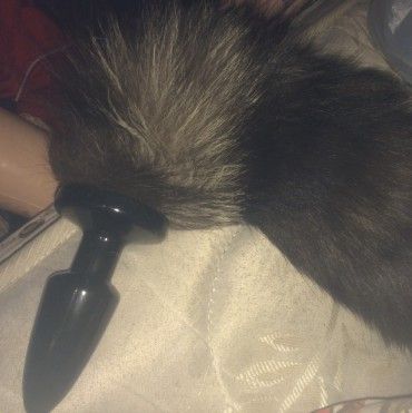 Buy my used foxtail buttplug