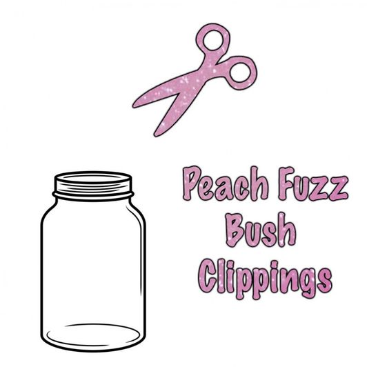 Bush Clippings
