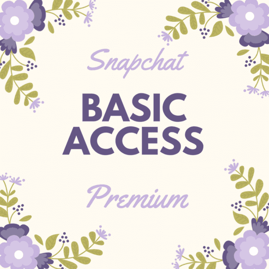 Snapchat Basic Access