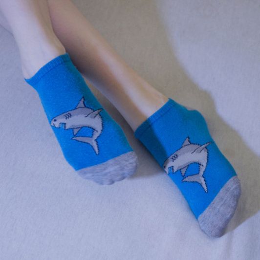 Short funny old socks with sharks