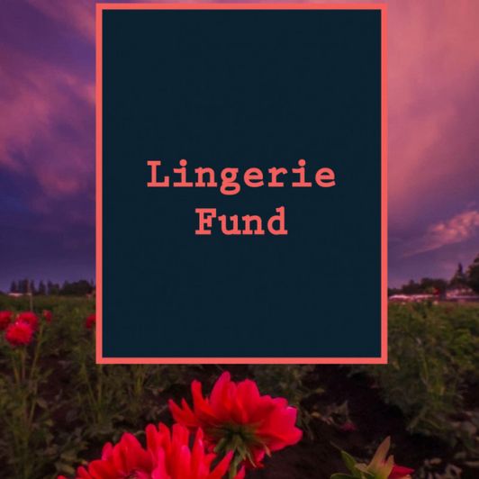 Lingerie Fund