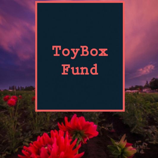 ToyBox Fund