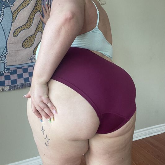 Thick Panty Booty Shorts Mesh Sides BBW