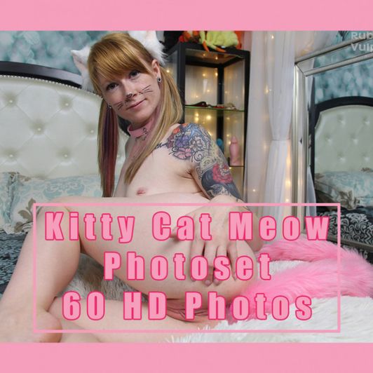 Kitty Cat Meow Photo set 60 HD Photos