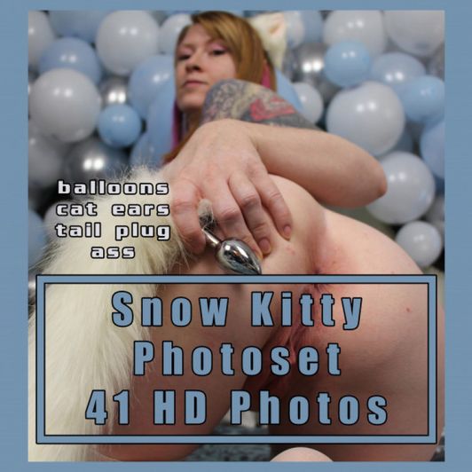 Snow Kitty Photo Set 41 HD Photos